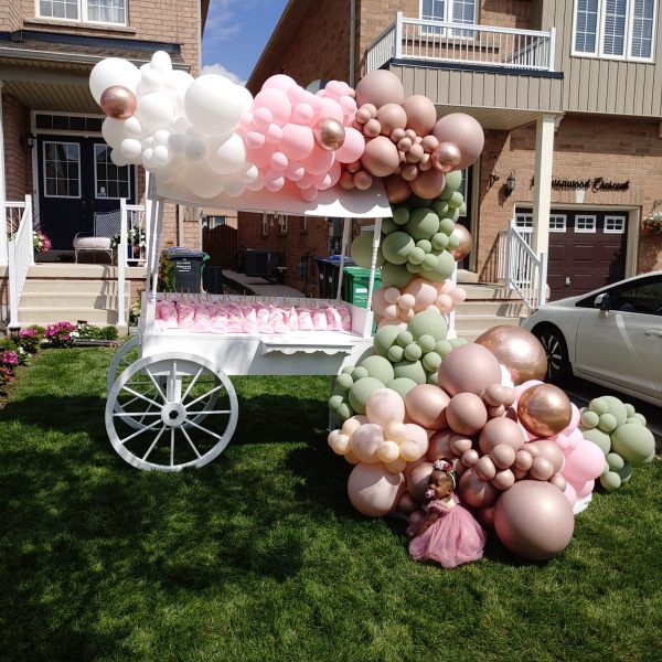 for rental page pic (2)