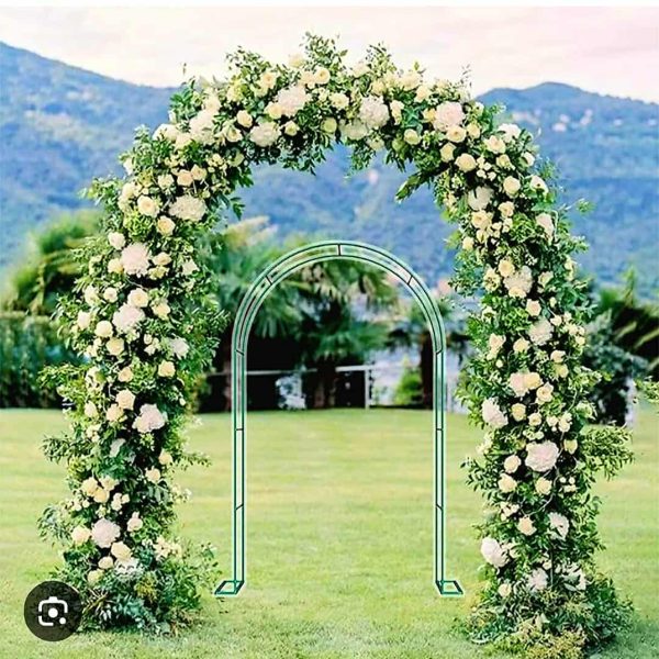 received_1225298371982856